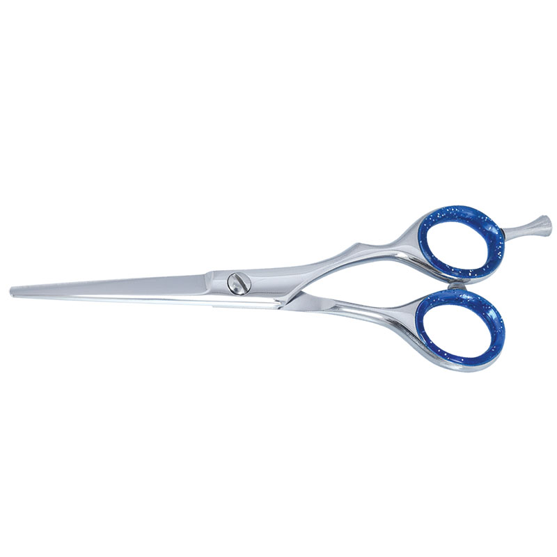 Professional Hair Dressing  Scissors