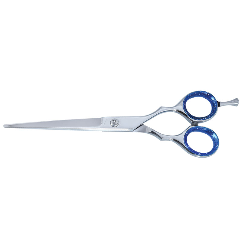 Professional Hair Dressing  Scissors