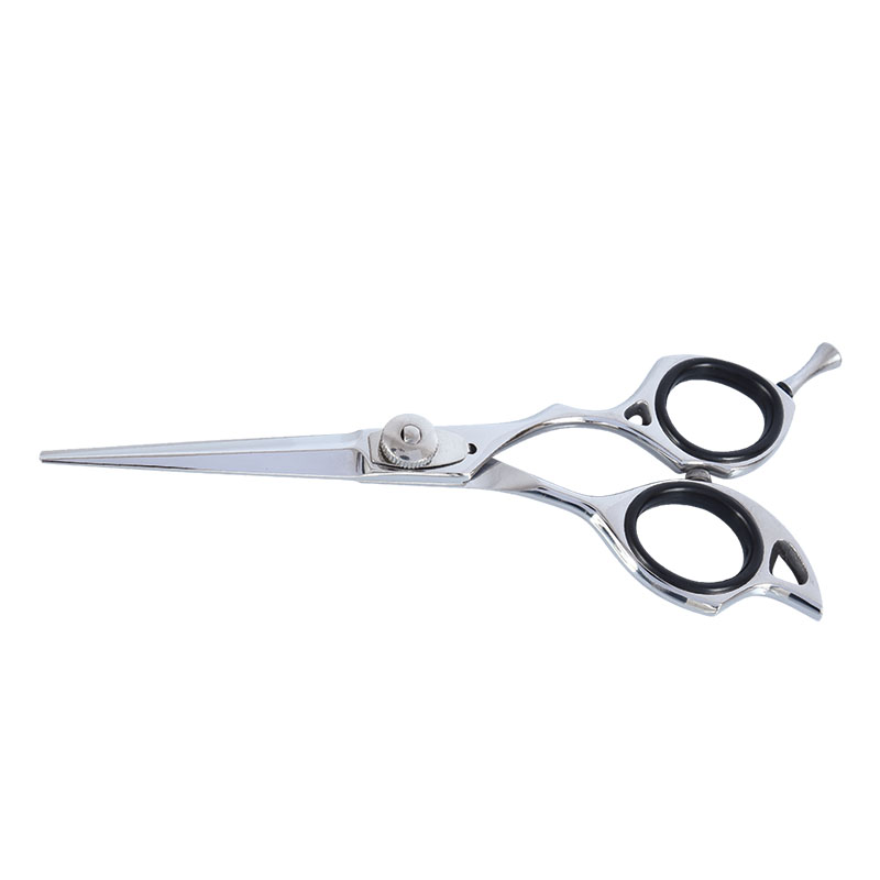 Professional Hair Dressing  Scissors