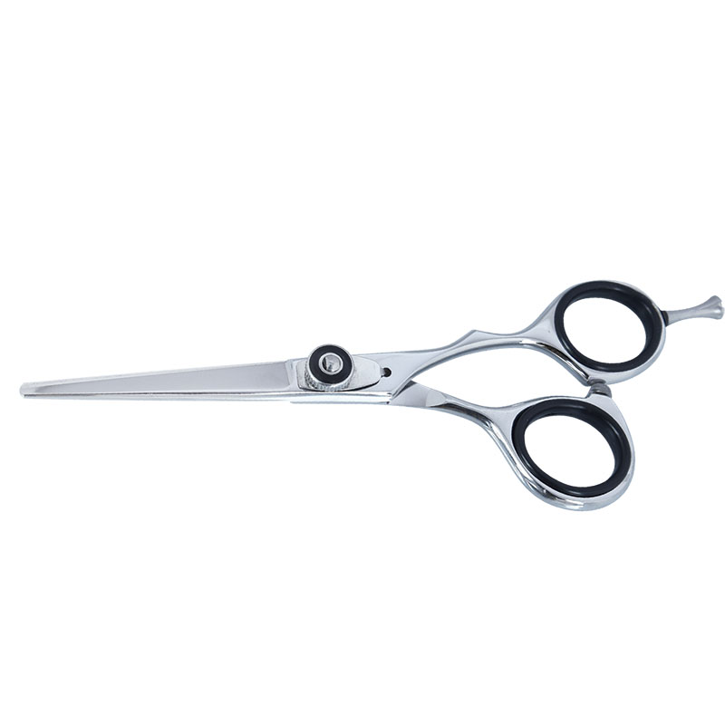 Professional Hairdressing Scissors