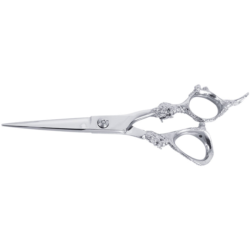 Professional Hairdressing Scissors Dragon Handle 